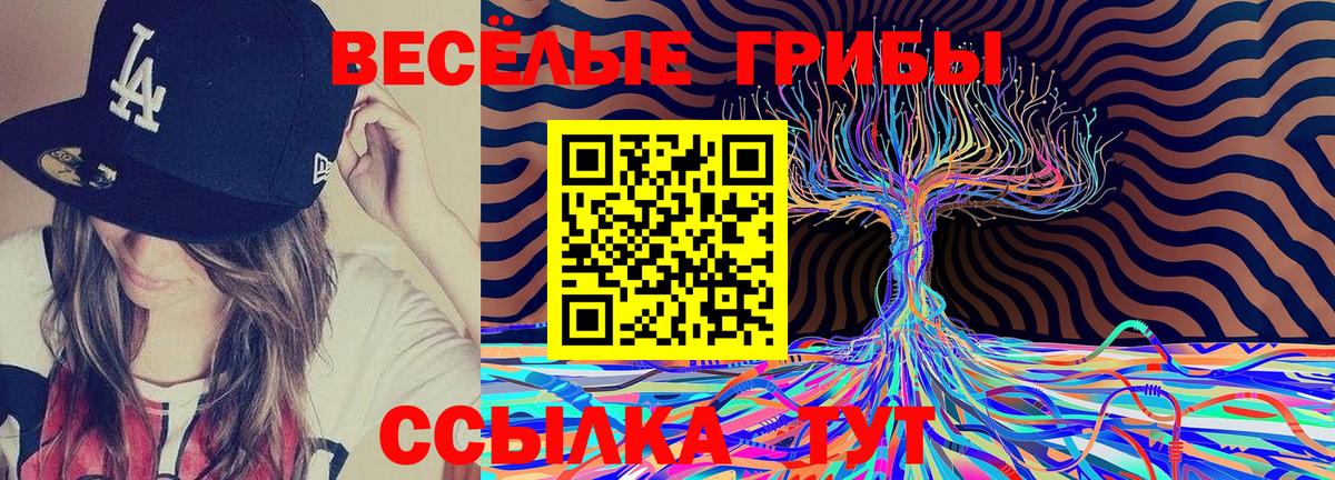 Ишим  Галлюциногенные грибы Cubensis  Вход с VPN 